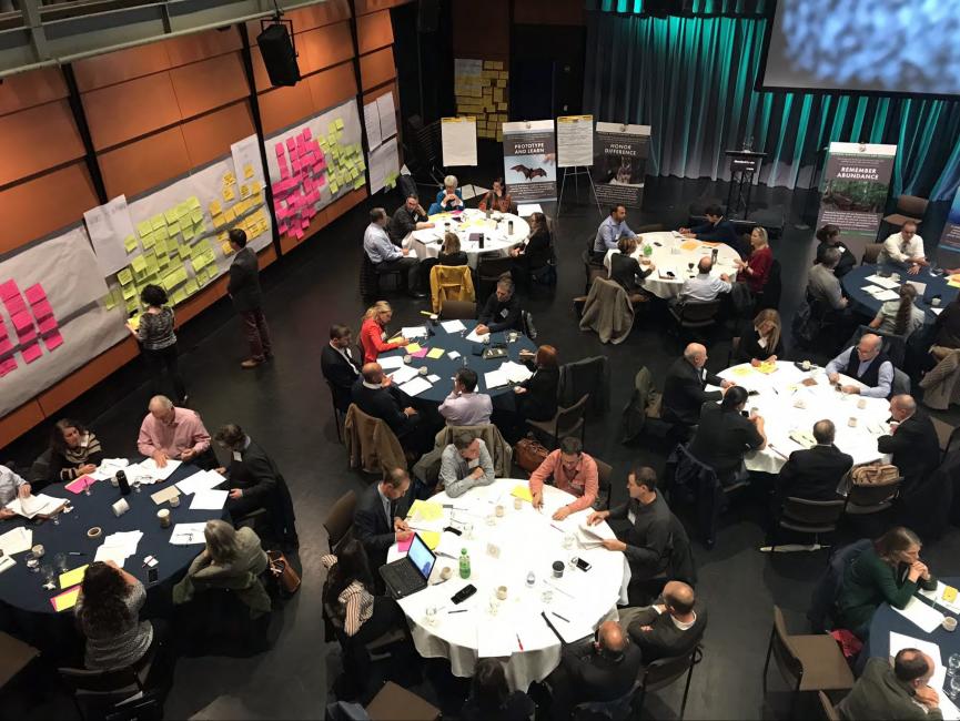 Overhead view of participants working in small groups at the Cutting the Green Tape roll-out meeting