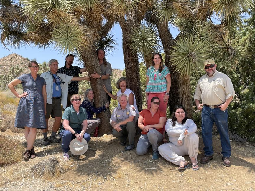 a group of people stand and squat in the shade of a group of Joshua Trees.