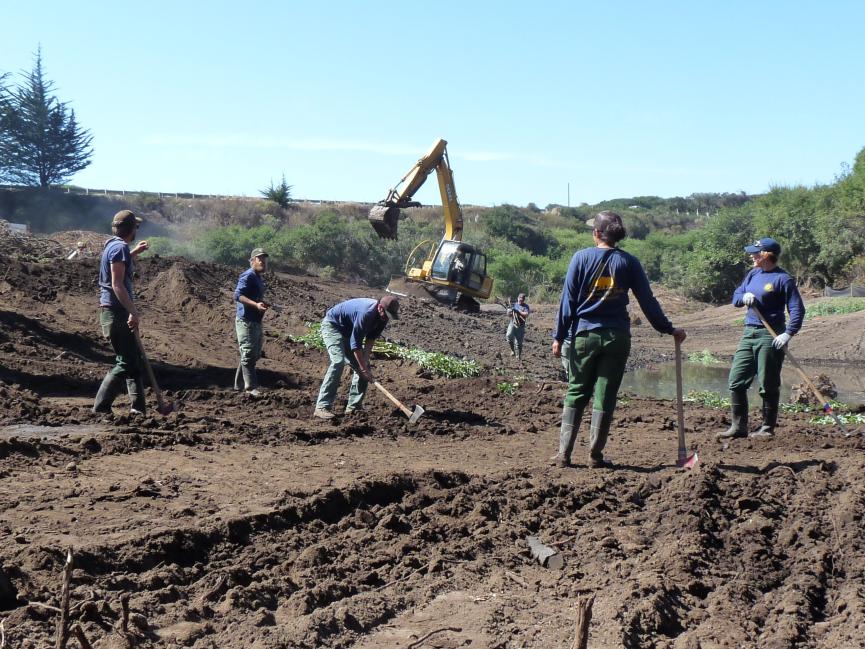 A group of restoration workers working with axes to restore a landscape
