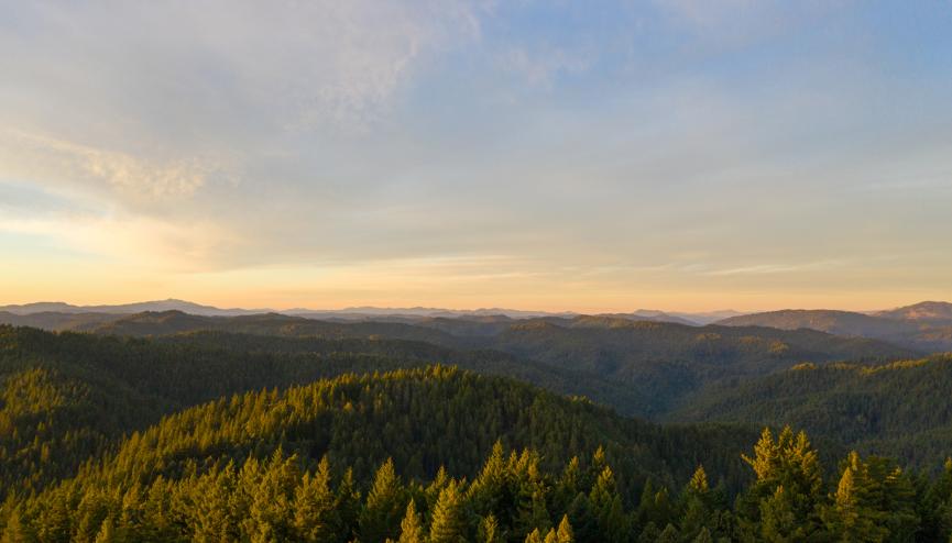 A drone image of a California rolling forested landscape and horizon 