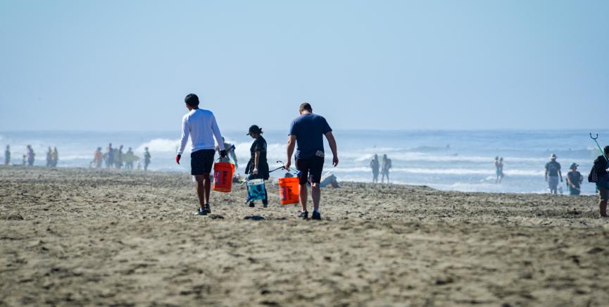 People combing the beach for trash on a sunny day