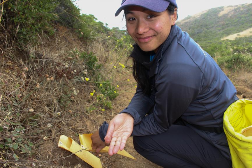 Woman collecting seeds