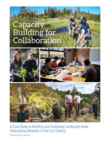 Capacity Building for Collaboration
