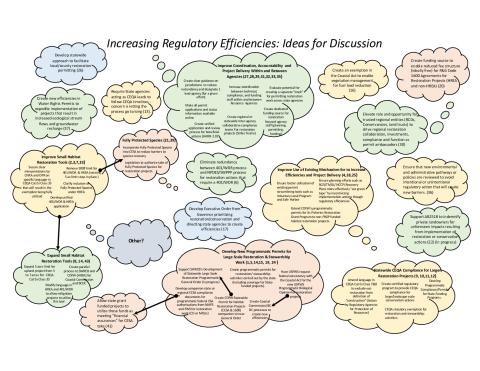 Increasing Regulatory Efficiencies: Ideas for Discussion (pdf)