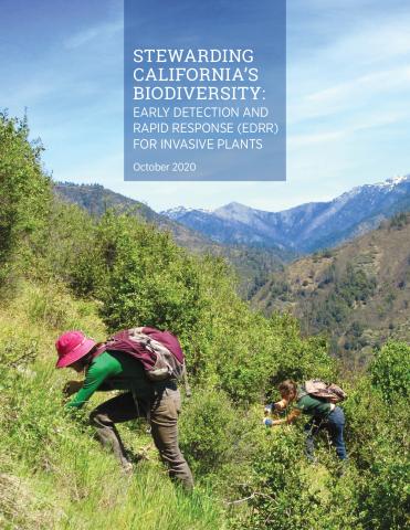 Stewarding California’s Biodiversity: Early Detection and Rapid Response (EDRR) for Invasive Plants