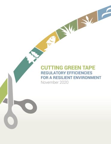 Cutting Green Tape: Regulatory Efficiencies for a Resilient Environment