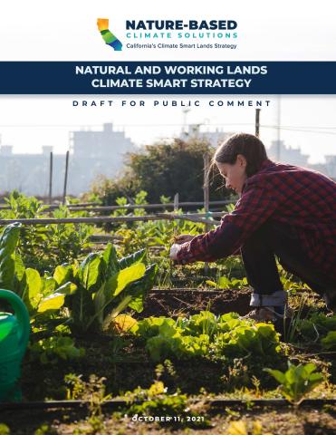 Natural and Working Lands Climate Smart Strategy