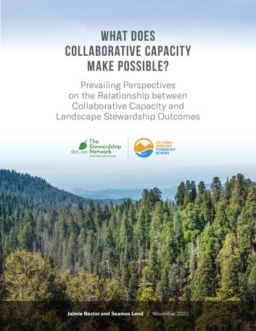 What Does Collaborative Capacity Make Possible?