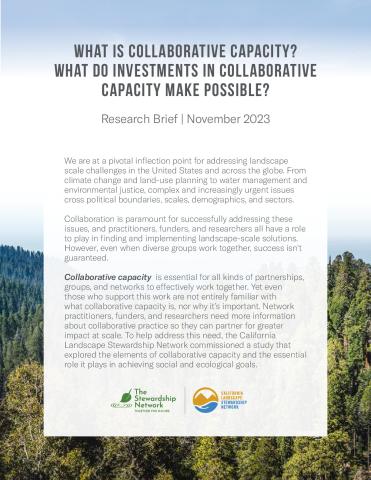 Collaborative Capacity Research Brief