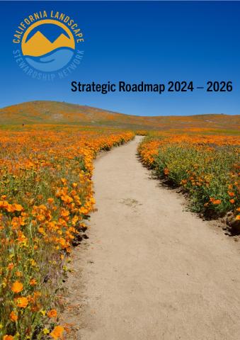CLSN Strategic Roadmap 2024 – 2026