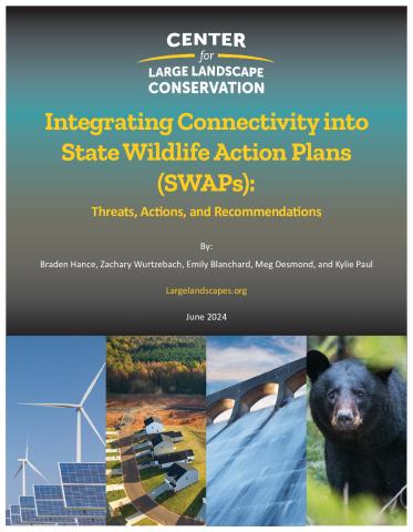 Integrating Connectivity into State Wildlife Action Plans