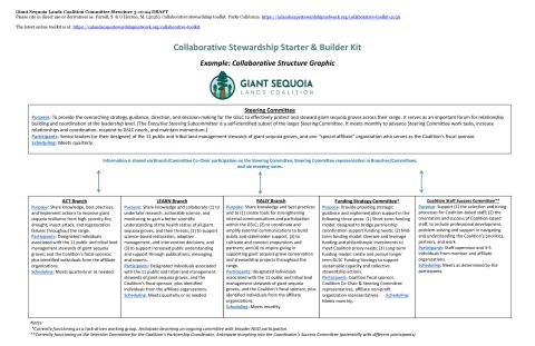 Example: Collaborative Structure Graphic