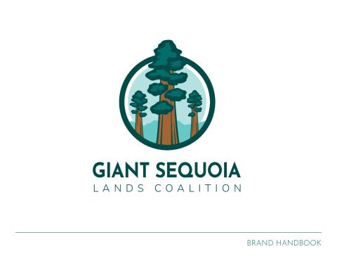 Example – Brand Handbook