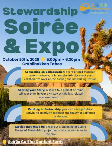 Stewardship Soirée Flyer
