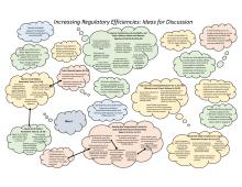 Increasing Regulatory Efficiencies: Ideas for Discussion (pdf)