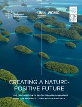 Creating a Nature-Positive Future: The Contribution of Protected Areas and Other Effective Area-based Conservation Measures