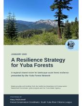 A Resilience Strategy for Yuba Forests