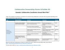 Example: Collaborative Coordinator Annual Work Plan