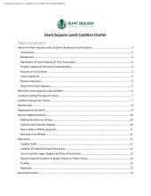 Example: Overarching Collaborative Charter & Working Group Charters 