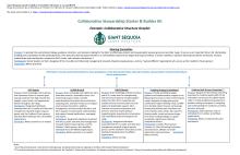 Example: Collaborative Structure Graphic