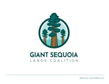 Example – Brand Handbook