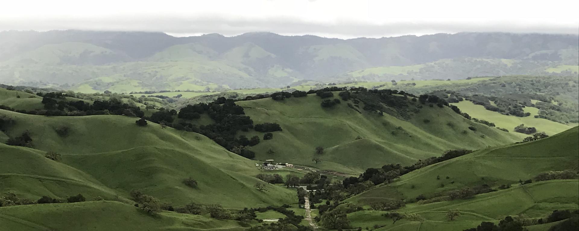 Photo of hills in the Santa Cruz region