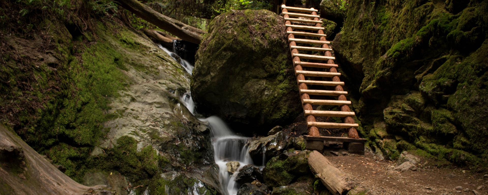 Ladder and trail beside a flowing stream.