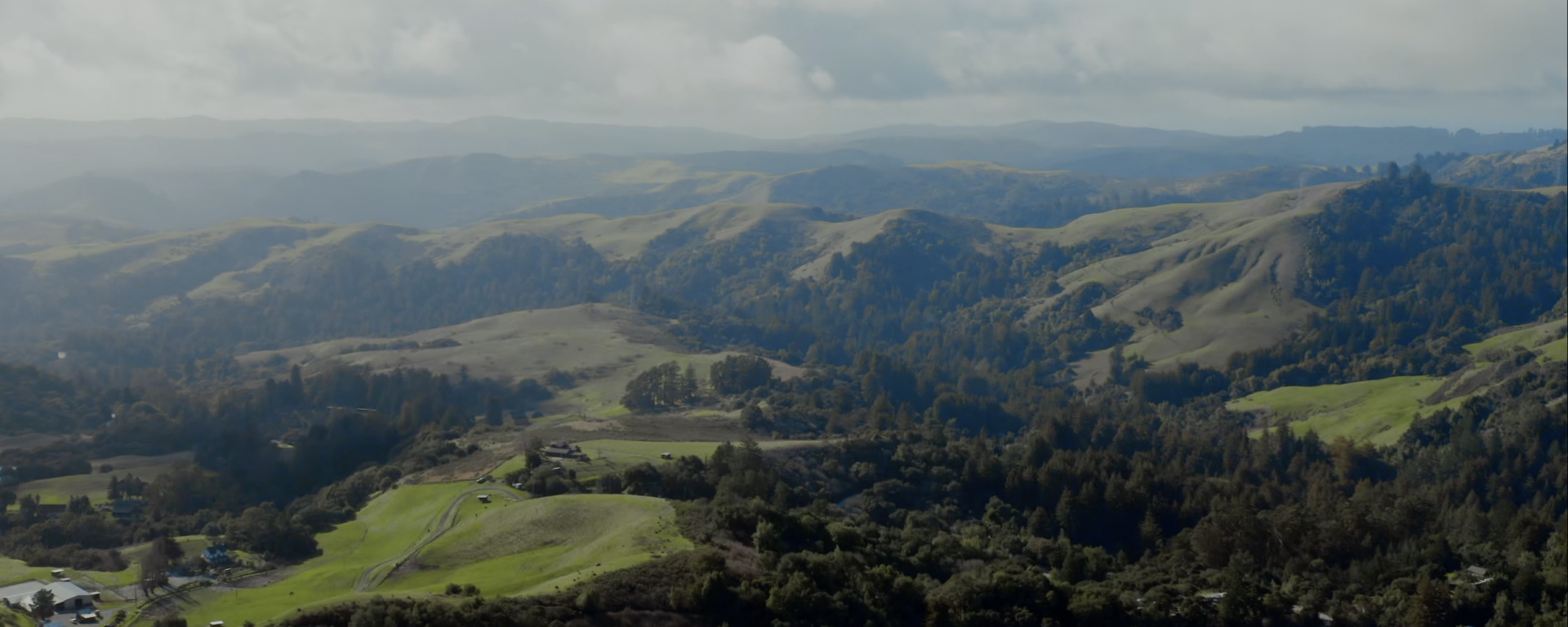 A sweeping landscape of rolling hills in the Santa Cruz Mountains region